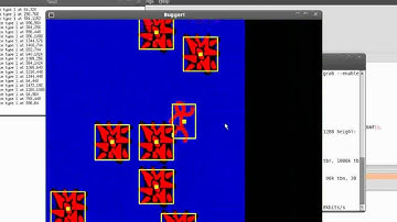 "Bugger!" Pre-alpha 1