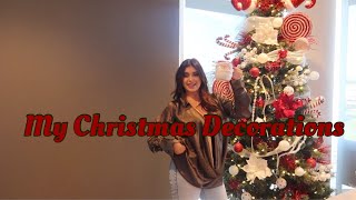My Christmas Decorations Vlogmas Day 2- Kalani Hilliker