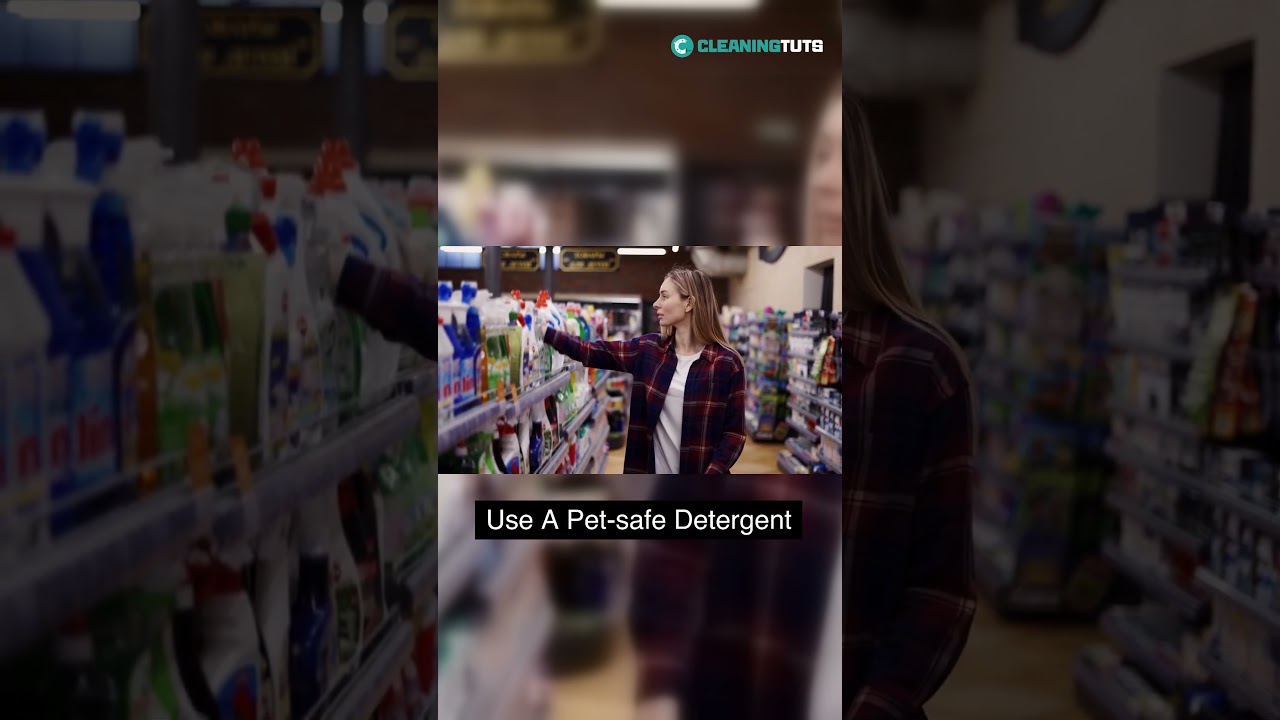 Can You Wash Your Dog Bed at Laundromat?  | 