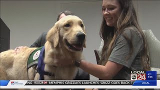 St. Jude's Paws at Play program introduces newest employees - Huckleberry & Puggle