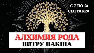 видео: ЭТО НУЖНО ЗНАТЬ , АЛХИМИЯ РОДА- ПИТРУ ПАКША, СИЛА ТВОЕГО РОДА, ПРАКТИКИ И РИТУАЛЫ картинка: ЭТО НУЖНО ЗНАТЬ , АЛХИМИЯ РОДА- ПИТРУ ПАКША, СИЛА ТВОЕГО РОДА, ПРАКТИКИ И РИТУАЛЫ