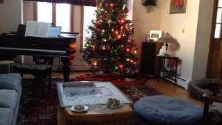 2012 Xmas Tree Take Down