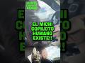 el MICHI COPILOTO humano existe!!