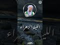 الليلة الزهراء