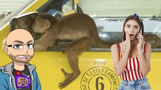 Emotional Support Monkey Causes Uber Chaos (Prank Call) screenshot 5