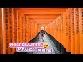 Exploring Fushimi Inari Shrine in Kyoto | Japan Vlog