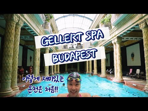 수영장 투어 🇭🇺 부다페스트 겔레르트 온천 /  Hungary Budapest - gellert spa tour <strong>최미혜</strong> 수영💦
