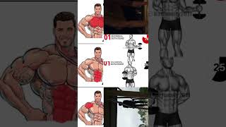 Chest workout and Abs workout and Arm workout and home workout