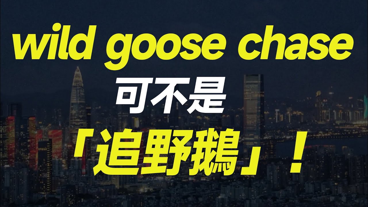 wild goose chase 可不是「追野鵝」！