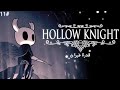 قدرة الطيران Hollow Kinght 11 