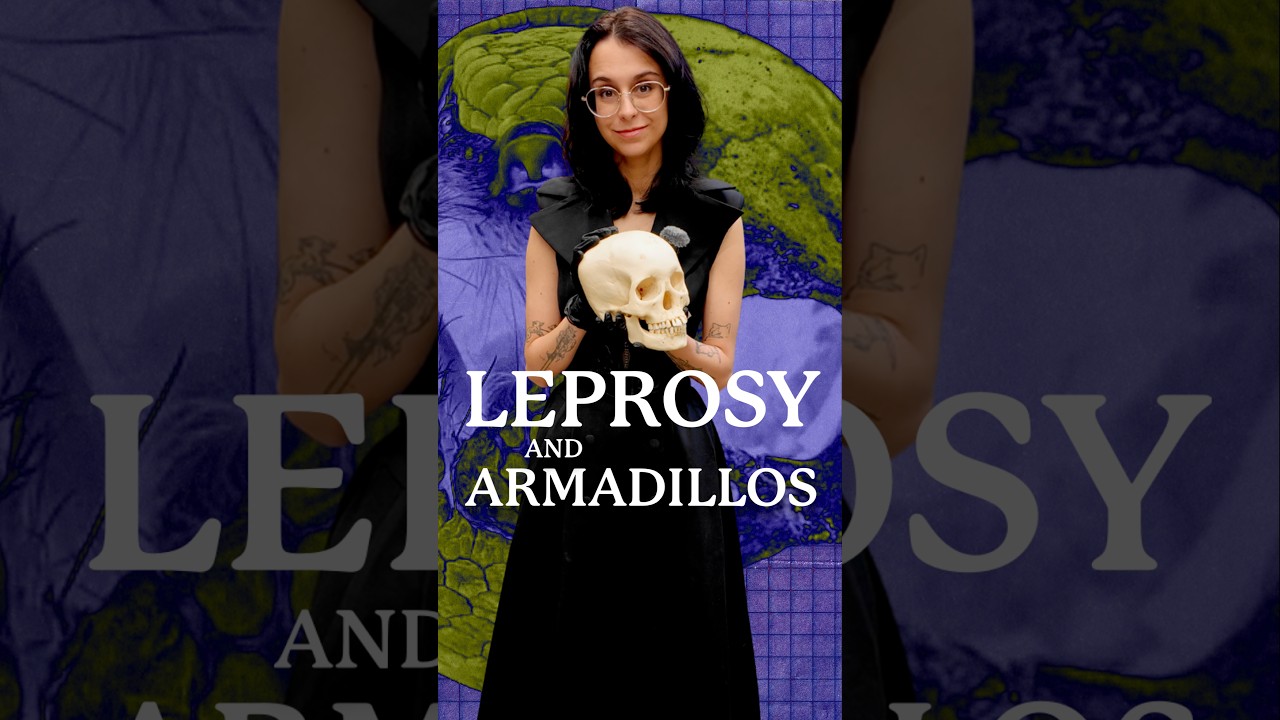 Latest Title & Thumbnail