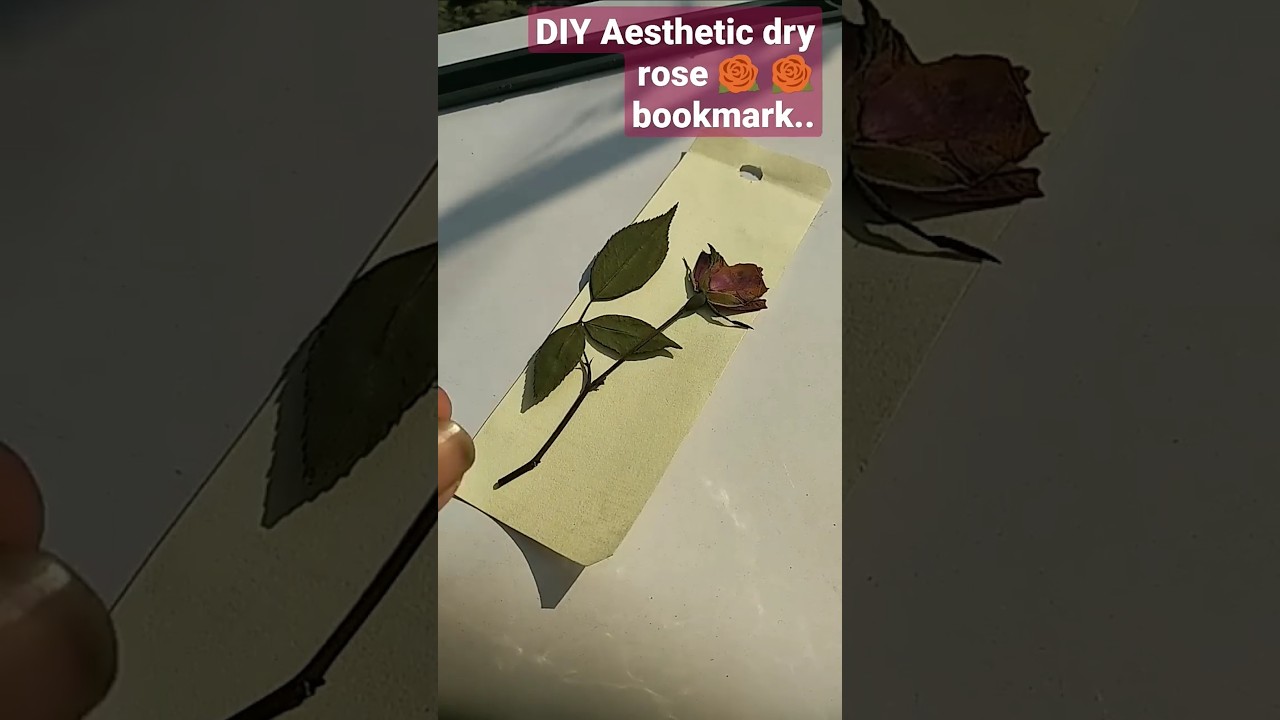 How to make DIY aesthetic dry rose bookmarks ✨✨🌹🌹🌹❣️
