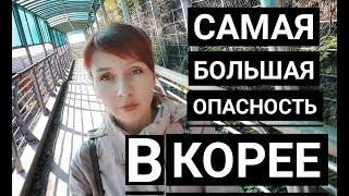 Видео САМАЯ БОЛЬШАЯ ОПАСНОСТЬ В КОРЕЕ (автор: Jane Rog)