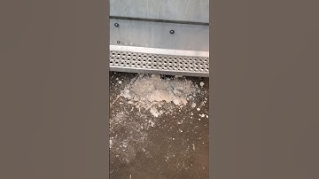 Digging for dinosaur bones in the DEF 😄