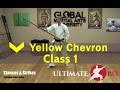 Bo Staff Class for Complete Beginners - Yellow Chevron - Class #1