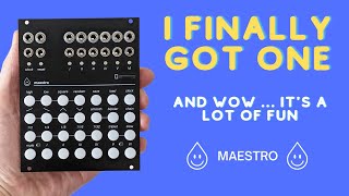 Acid Rain Technology Maestro - Eurorack Module on ModularGrid