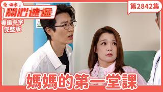 愛．回家之開心速遞｜第2842集完整版｜媽媽的第一堂課｜劉丹、呂慧儀、單立文、湯盈盈、滕麗名、吳偉豪、張景淳、林淑敏、許家傑｜港劇｜粵語中字｜2026
