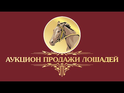 Видео: Аукцион продажи лошадей