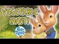 Peter Rabbit - On a Vegetable Hunt Compilation | 20+ minutes | Adventures with Peter Rabbit