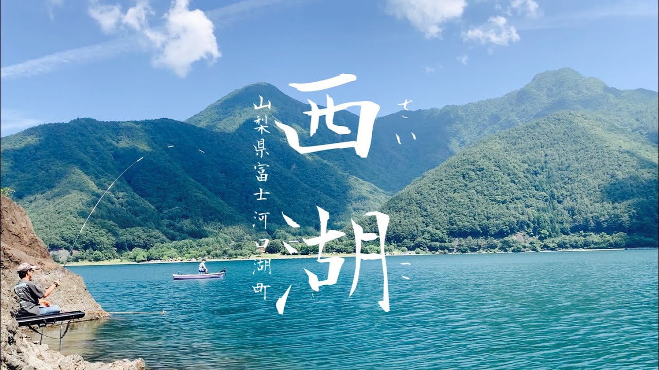 西湖の魚は最高？ 透明度の高い魅惑の西湖でへらぶな釣り 