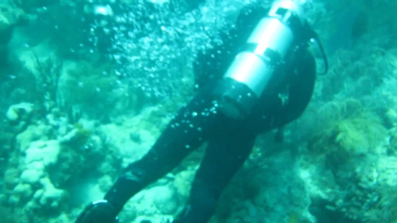 MIAMI SCUBA DIVING 14.07.2012 YouTube