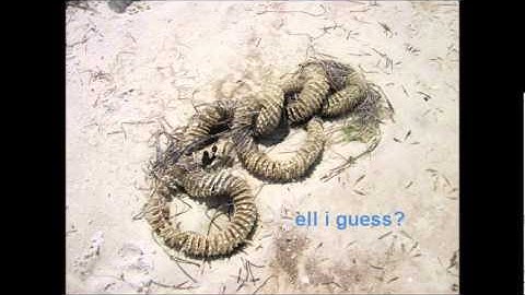 sailing to anclote key.wmv