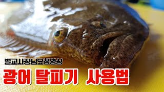 광어 탈피기의 완전정복