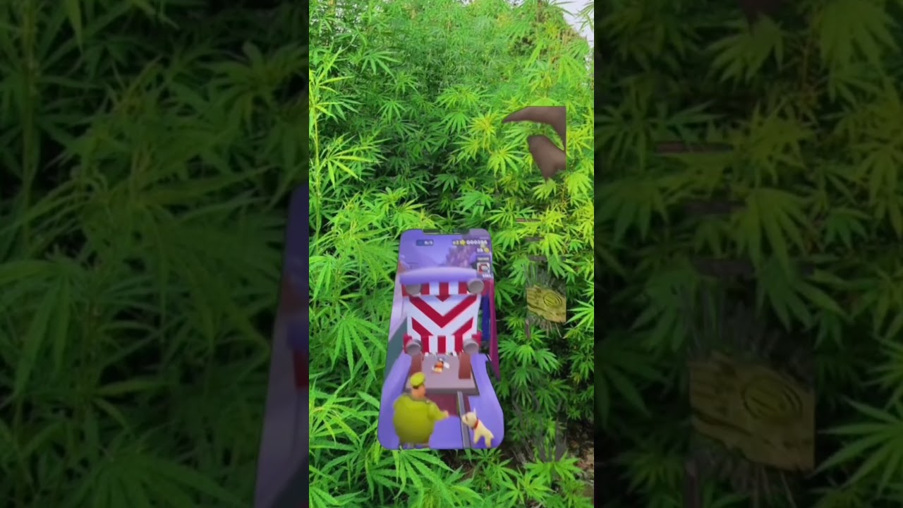 Твоя жизнь — как старая, заезженная пластинка, полная вредных привычек, лени, хаоса и страхов? Пора!