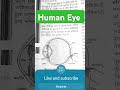 ||Science Shorts ||Human Eye||For All Exam||June 2024