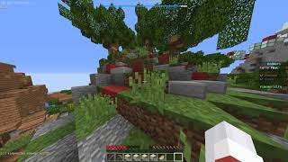 VimeWorld BedWars  Быстро))) [4]