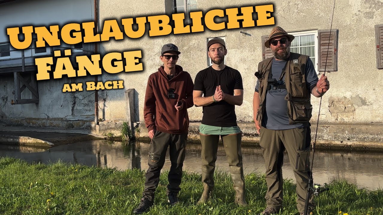 Forellenalarm am Bach – Unglaubliche Fänge & a bisl was zum Lachen 😉😁