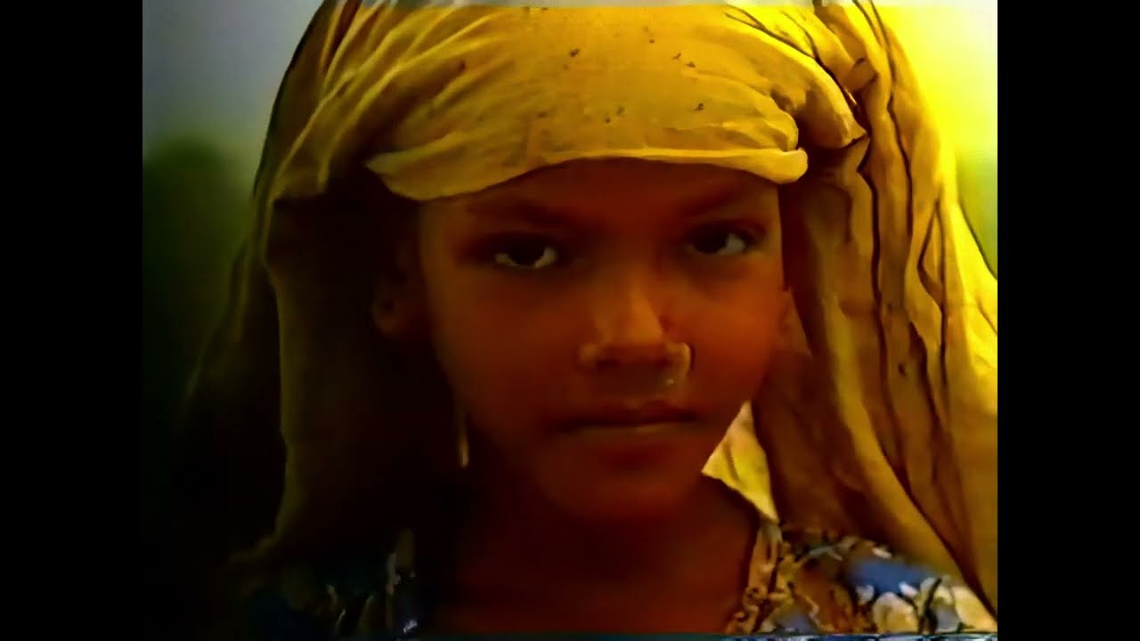 El Bosco Nirvana - 4K