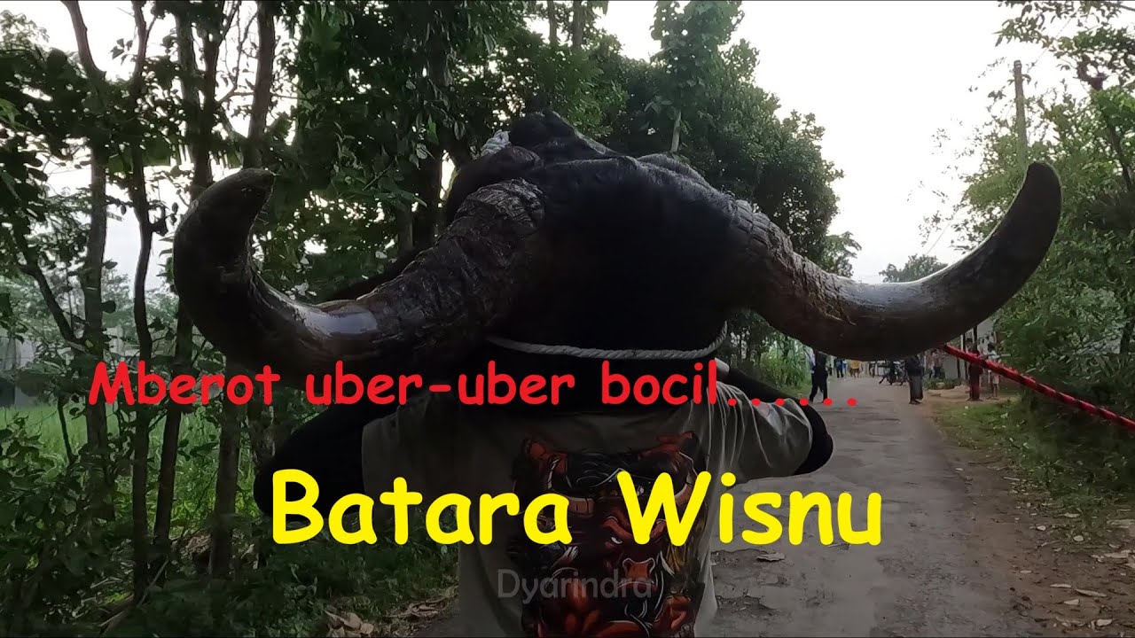 Mbolang kejar bocil bareng Bantengan Batara Wisnu mberot ndadi full kalapan