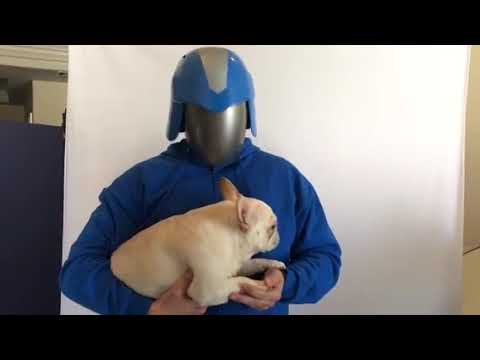 Cobra Commander Chronicles Episode 2: Picture Day