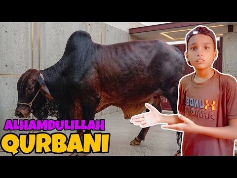 Alhamdulillah Qurbani Ka Janwar Zibah Ho Gaya 😍