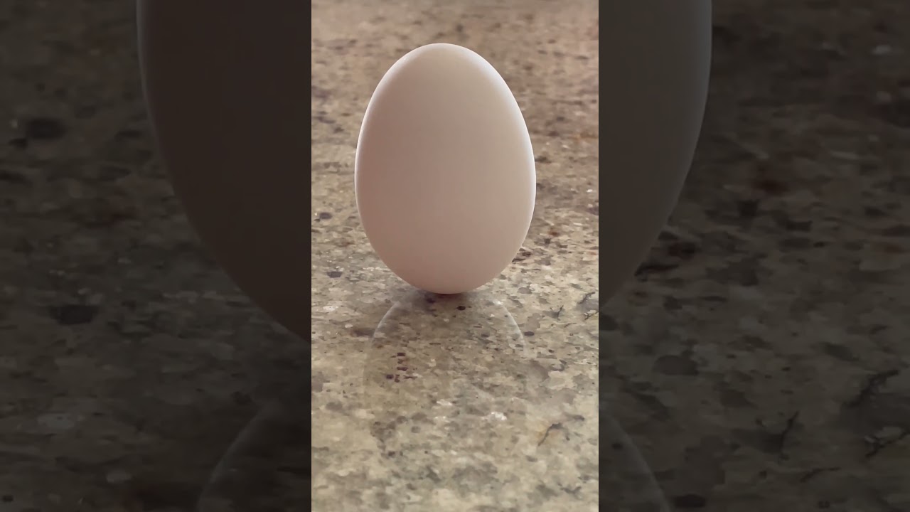 Egg balance during spring equinox