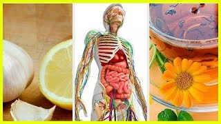 6 Natural Remedies to Detoxify the Lymphatic System