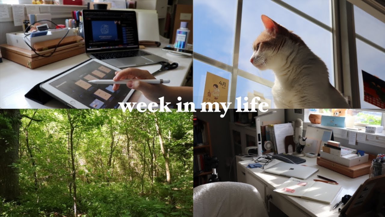 study week in my life: preparing for ap exams and productively procrastinating