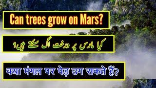 Can Trees Grow On Mars?