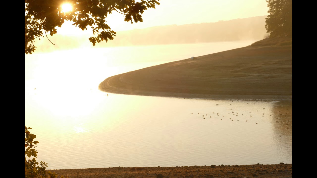 Morgensonne lächelt auf mein Land / morning sun is smiling on my land