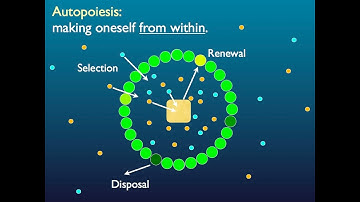 Prof. Gordana Dodik-Crnkovic PhD, Recent Advances in Cognition, Computation and Robotics