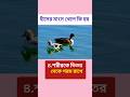 হাঁসের মাংস খেলে কি হয় জেনে নিন #gk #healthtips #health #shorts #Daily Health Care