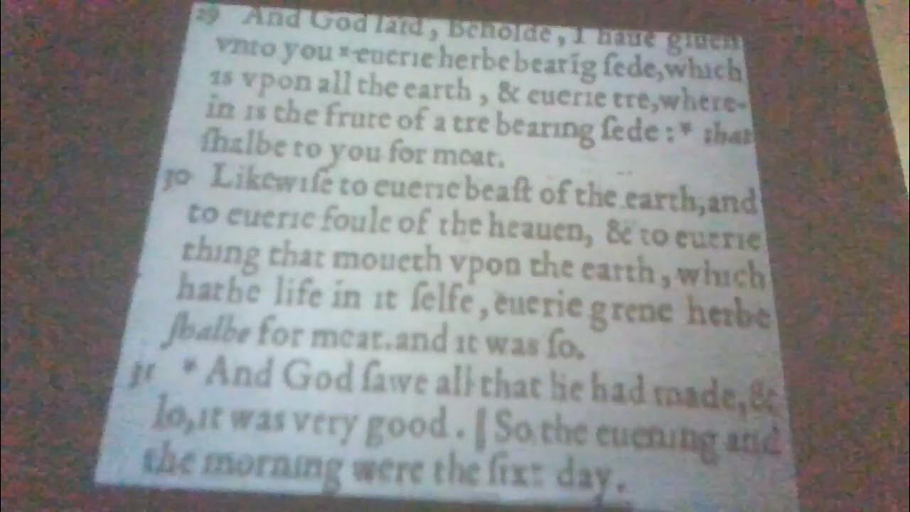 Genesis Chapter 1 Verse 29 30 31 YouTube genesis-chapter-1-verse-29-30-31-youtube