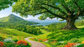 Deep Mental Peace 🌿Release Stress, Calm Your Thoughts, and Relax Your Mind