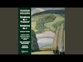 Miniature de la vidéo de la chanson Symphony No. 3: I. Molto Moderato