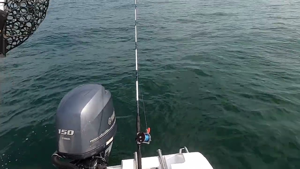 How to fish with a Deadstick!