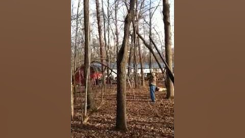 A Flying squirrel hunt.. With a jumping squirrel :)