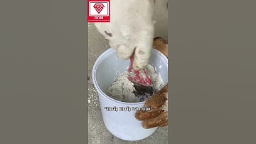 Bạn đã bao giờ xây bể cá mà sợ rò rỉ nước chưa?!