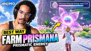 The BEST Way To Farm Prismana Aniimo! Full Prismatic Energy Guide