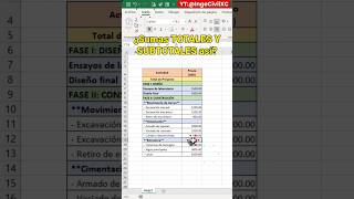 Agrupa y Suma subtotales y totales en Excel (Agrupar + subtotales)